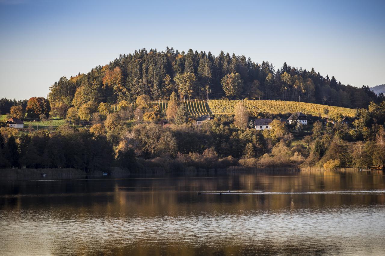 לינה וארוחת בוקר Sankt Georgen am Längsee Weingut Georgium מראה חיצוני תמונה