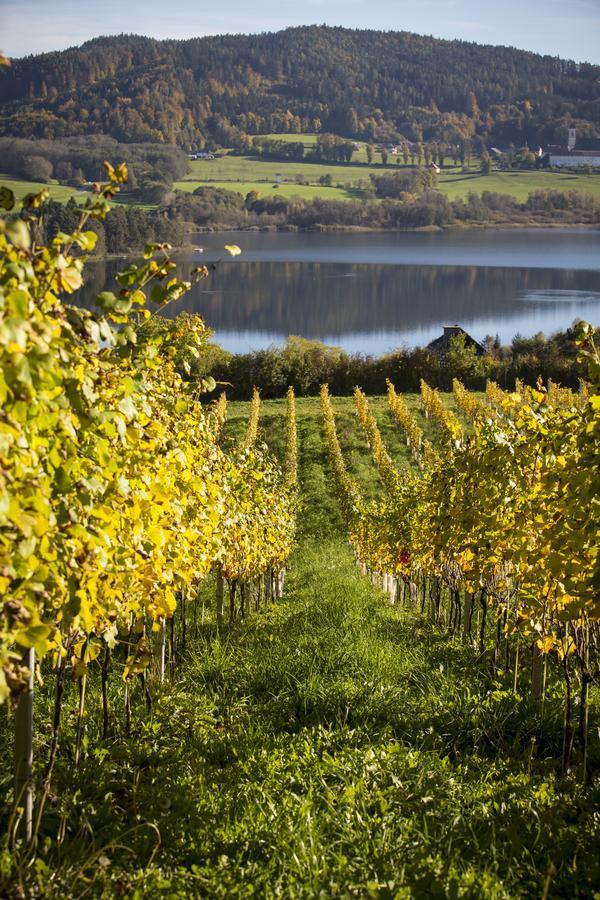 לינה וארוחת בוקר Sankt Georgen am Längsee Weingut Georgium מראה חיצוני תמונה